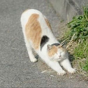 Meet your Posher, Holly